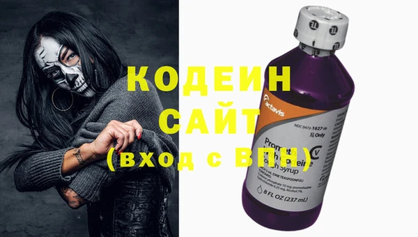 дурь Арсеньев