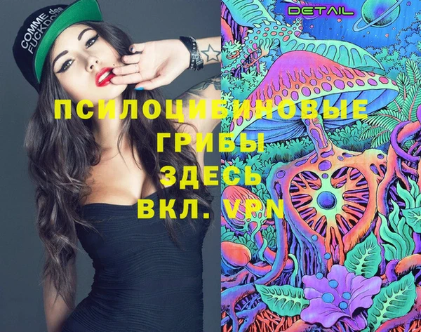 мяу мяу мука Алзамай