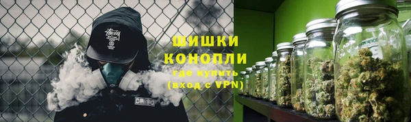 дурь Арсеньев